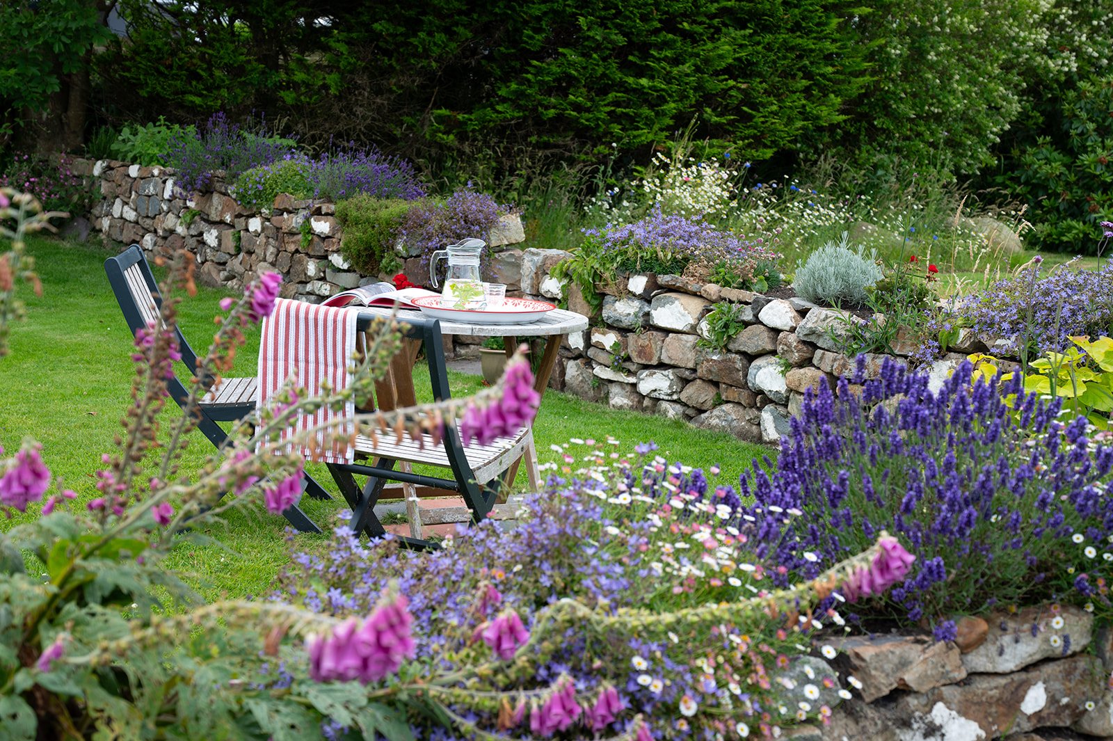 Bryn Teifi gallery image