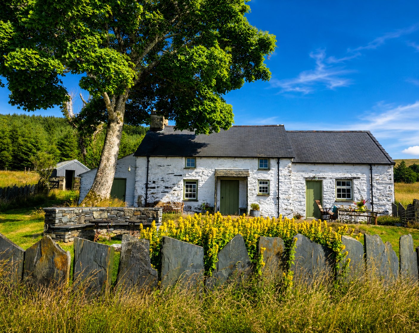 Blaen y Buarth gallery image