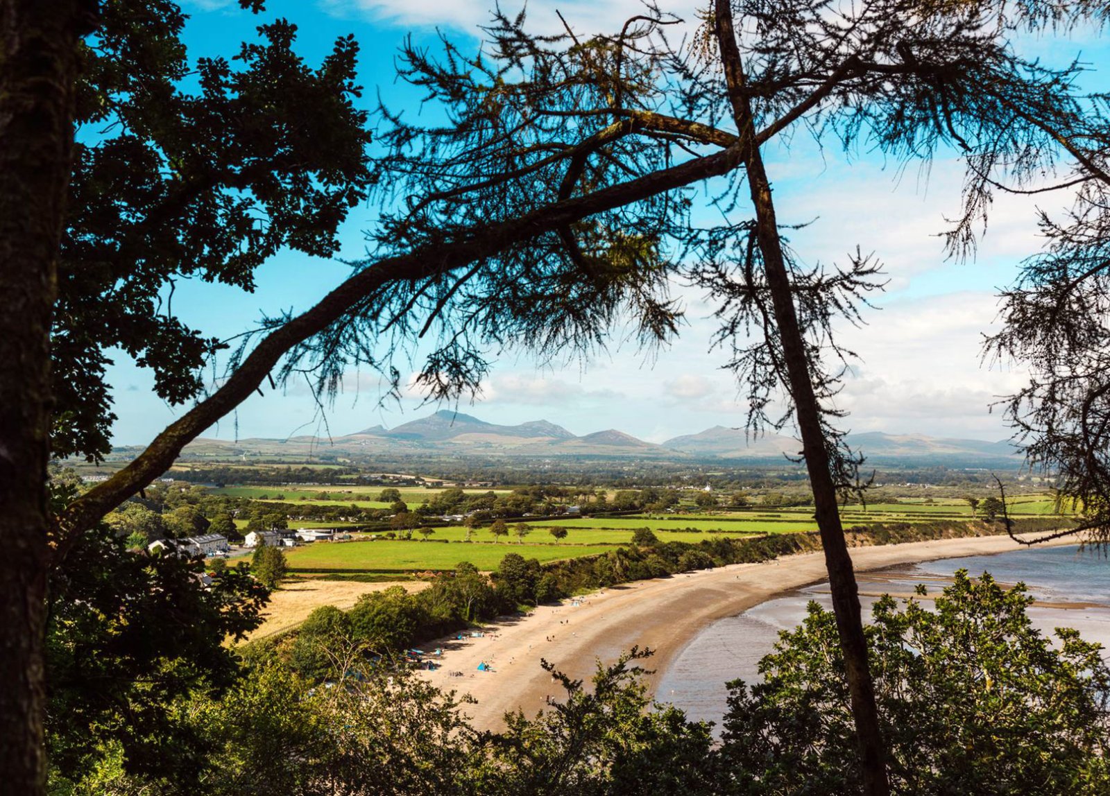 Bryn Teifi gallery image